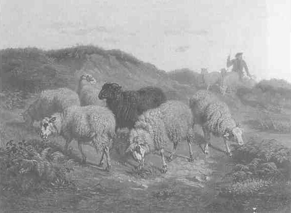 Schenck work. See text.